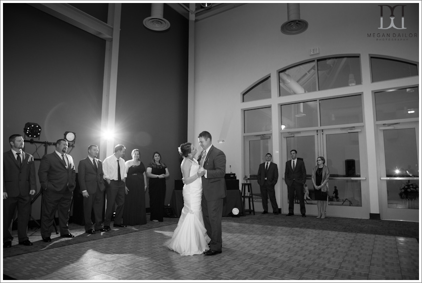 finger lakes wedding photographer