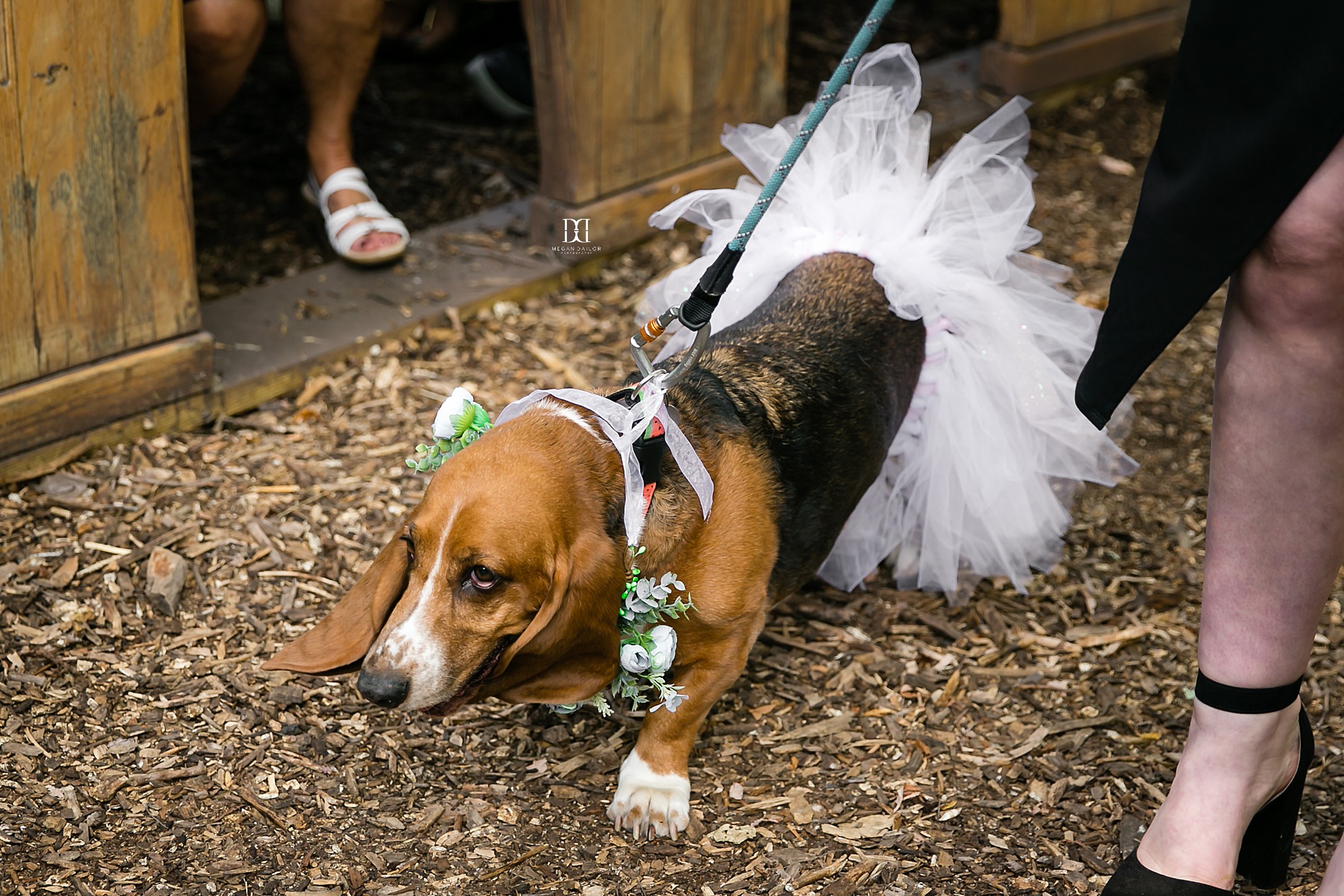 kin loch farmstead wedding