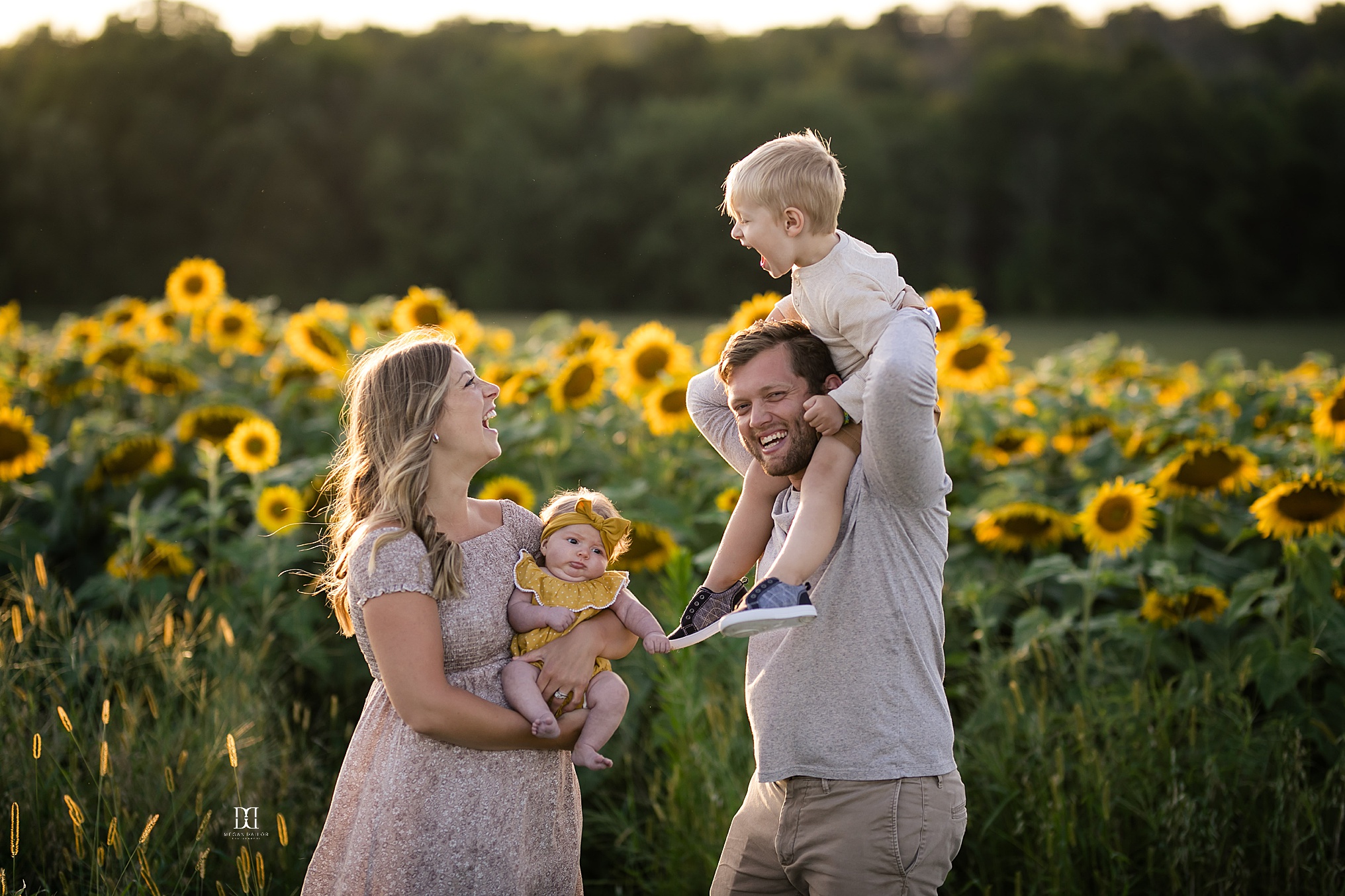 sunflower family photos in rochester mom dad son and daughter laughing