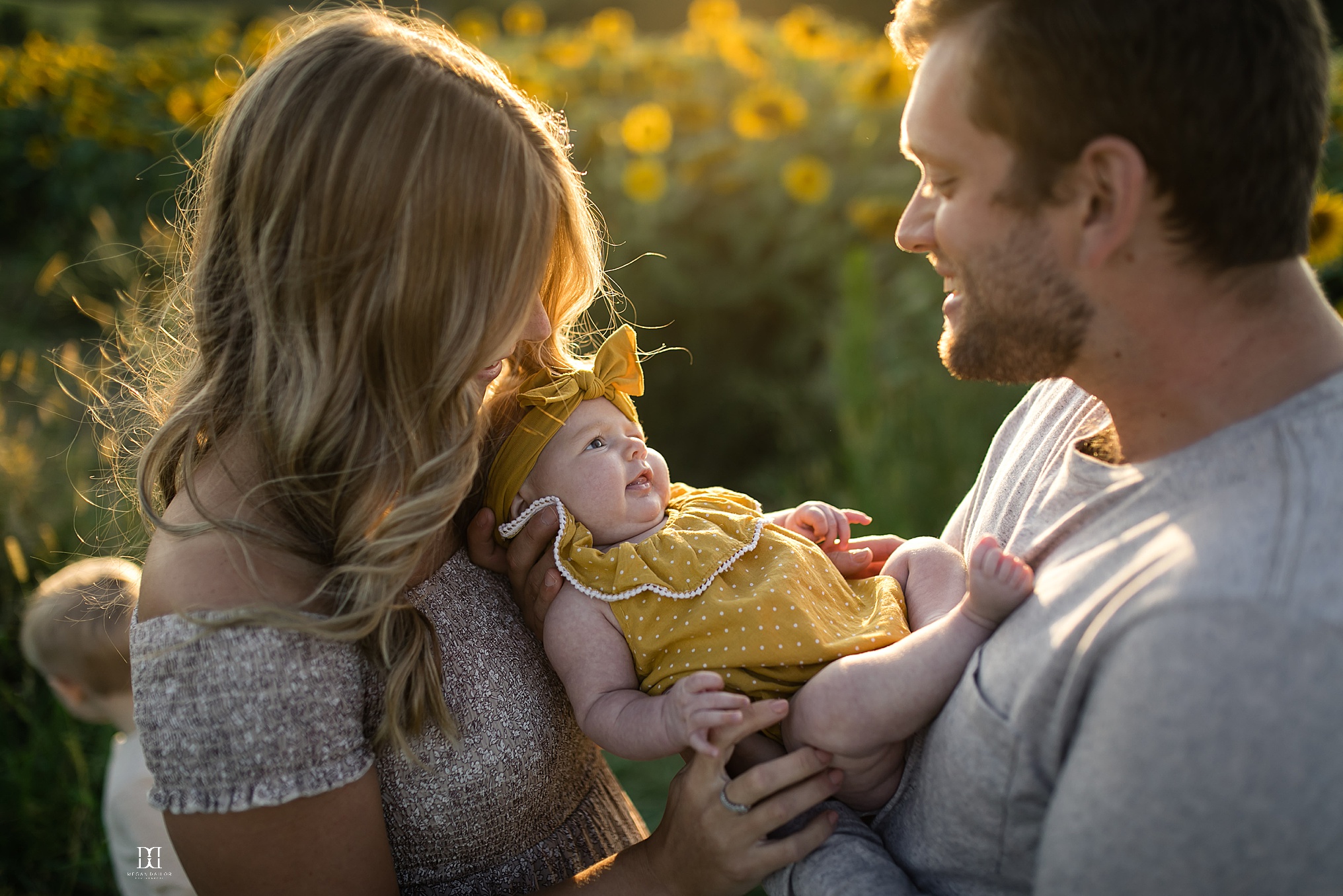 sunflower family photos in rochester mom and dad with infant