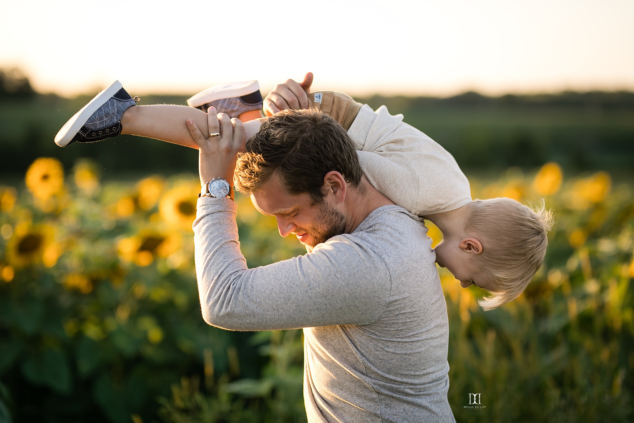 father and son sunflower family photos in rochester