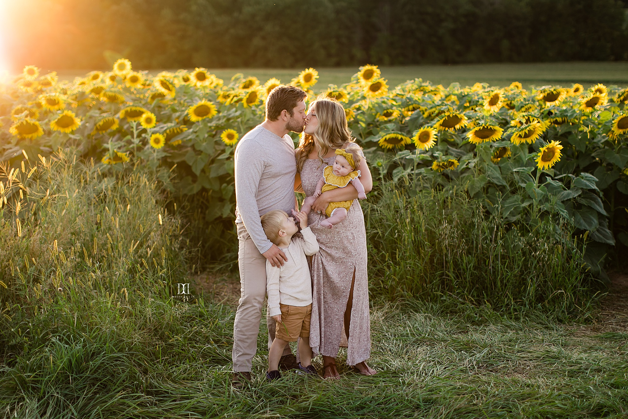 mom and dad kissing sunflower family photos in rochester