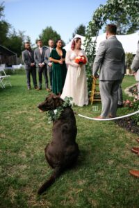 backyard wedding