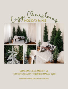Christmas Mini Sessions in Rochester NY