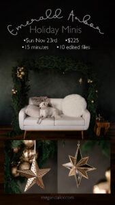 holiday mini sessions in Rochester ny